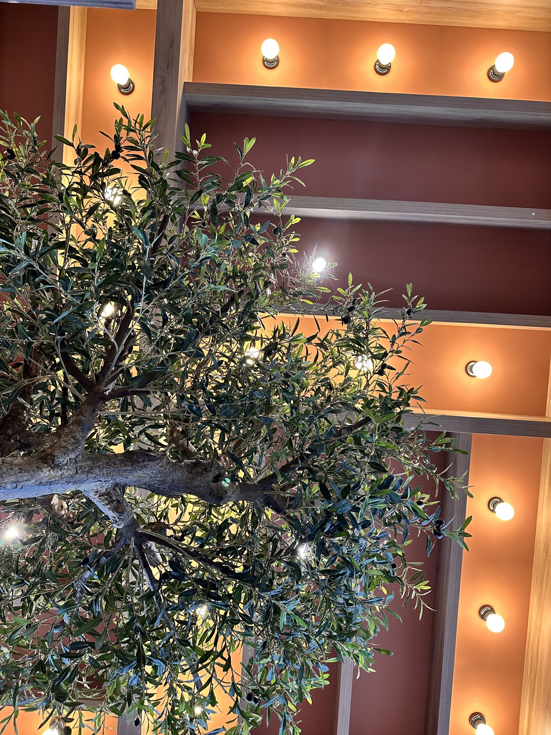 IMG_4303